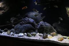 660-Liter-Uebergangszone-Jahr-2014-021-1