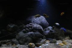660-Liter-Uebergangszone-Jahr-2014-025-1