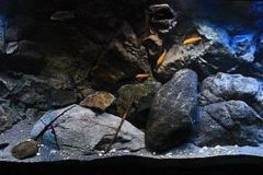 660-Liter-Bodengrund-Module-Fels/Übergangszone-Aquarium