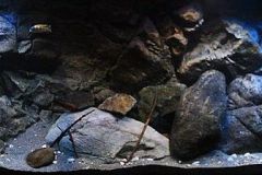 660-L-April-2012-Felsige-Uebergangszone-24