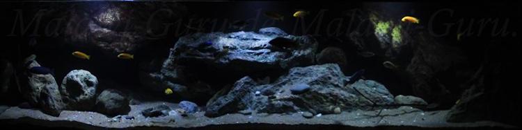 660-Liter-Dezember-2016-023