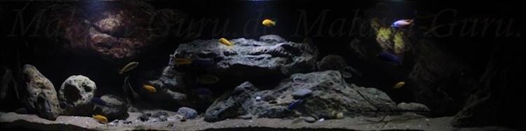 660-Liter-Dezember-2016-024
