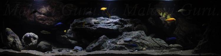 660-Liter-Dezember-2016-025