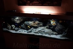 660-Liter-Dezember-2016-003