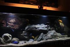 660-Liter-Dezember-2016-012