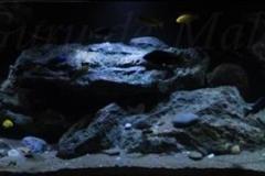 660-Liter-Dezember-2016-023