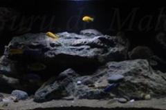 660-Liter-Dezember-2016-024