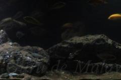 660-Liter-Dezember-2016-028