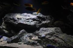 660-Liter-Dezember-2016-029