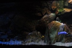 660-Liter-Dezember-2012-10