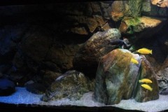660-Liter-Dezember-2012-11