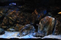 660-Liter-Dezember-2012-12