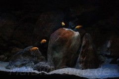 660-Liter-Dezember-2012-13
