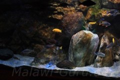 660-Liter-Dezember-2012-14