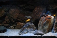 660-Liter-Dezember-2012-15