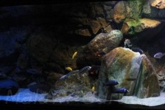 660-Liter-Dezember-2012-16
