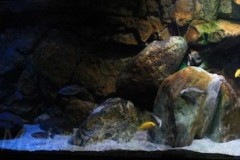 660-Liter-Dezember-2012-18