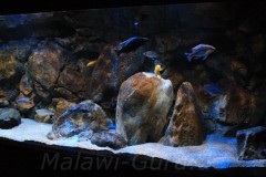 660-Liter-Dezember-2012-19