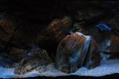 660-Liter-Dezember-2012-21