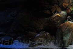 660-Liter-Dezember-2012-22