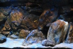 660-Liter-Dezember-2012-23