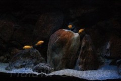 660-Liter-Dezember-2012-24