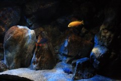 660-Liter-Dezember-2012-25
