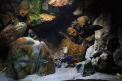 660-Liter-Dezember-2012-26