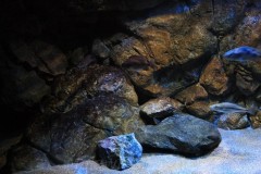 660-Liter-Dezember-2012-27