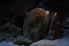660-Liter-Dezember-2012-28