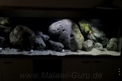 660-Liter-Uebergangszone-200-1