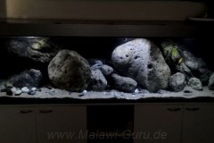 660-Liter-Uebergangszone-201-1