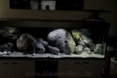 660-Liter-Uebergangszone-202-1