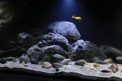 660-Liter-Rückwand-Module-Übergangszone-Aquarium