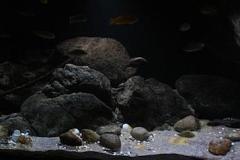 660-Liter-Uebergangszone-Jahr-2014-005