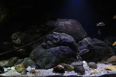 660-Liter-Uebergangszone-Jahr-2014-006