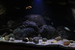 660-Liter-Uebergangszone-Jahr-2014-007