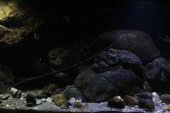 660-Liter-Uebergangszone-Jahr-2014-010