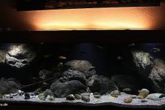 660-Liter-Uebergangszone-Jahr-2014-012