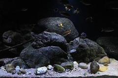 660-Liter-Uebergangszone-Jahr-2014-014