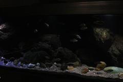 660-Liter-Uebergangszone-Jahr-2014-020
