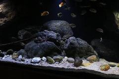 660-Liter-Uebergangszone-Jahr-2014-022