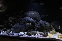 660-Liter-Uebergangszone-Jahr-2014-023