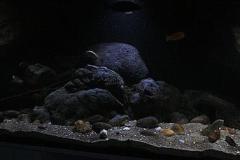 660-Liter-Uebergangszone-Jahr-2014-024