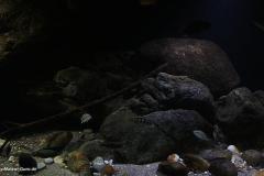 660-Liter-Uebergangszone-Jahr-2014-026