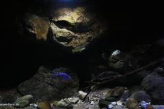 660-Liter-Uebergangszone-Jahr-2014-027