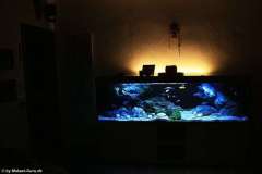 660-Liter-Übergangszone-Moos-Aquarium