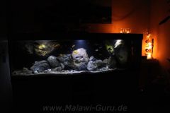660-Liter-Fels-Uebergangszone-01