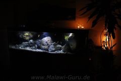 660-Liter-Fels-Uebergangszone-02