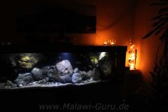 660-Liter-Fels-Uebergangszone-04